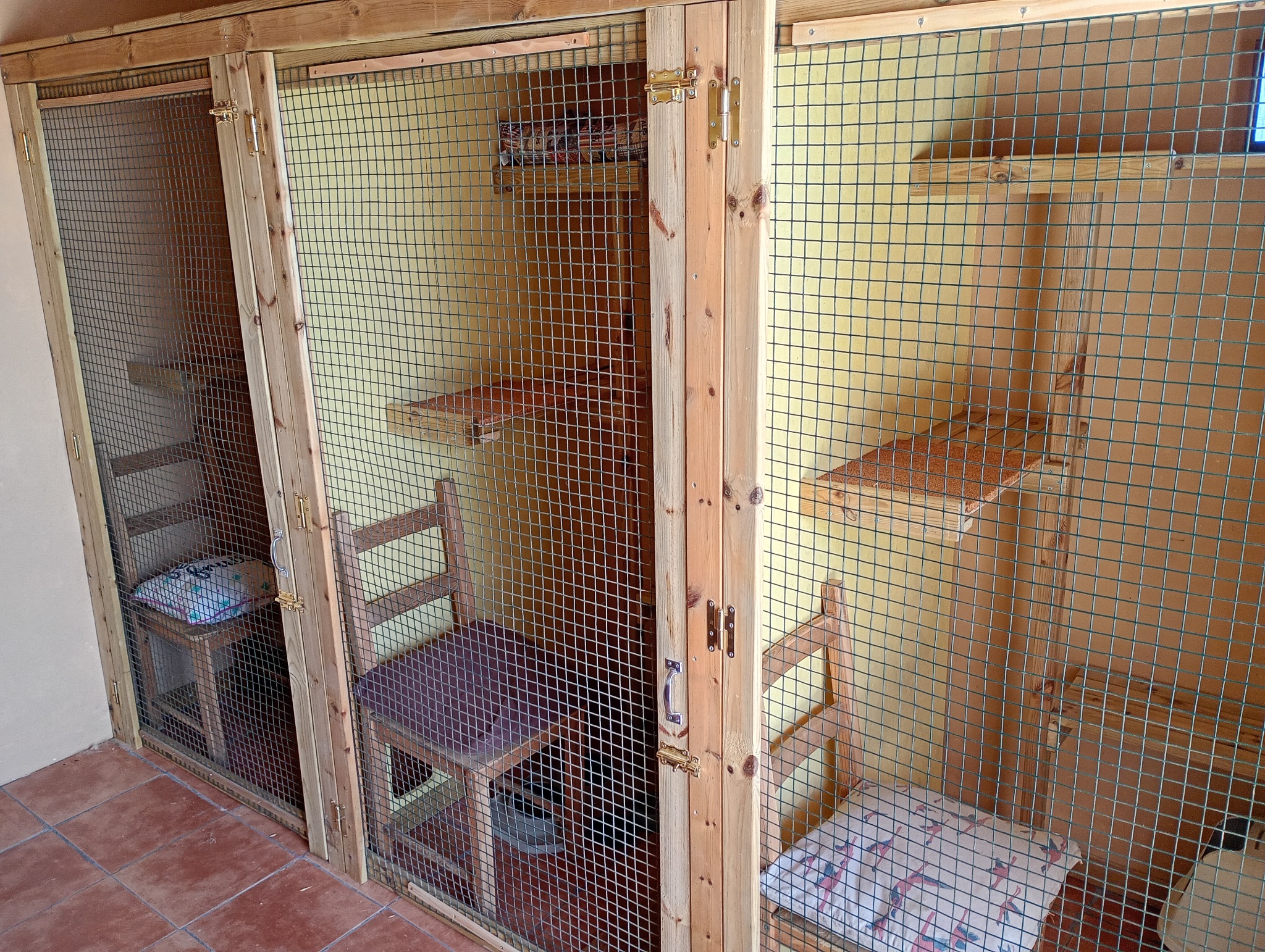 Our spacious individual cat pods with elevated resting areas