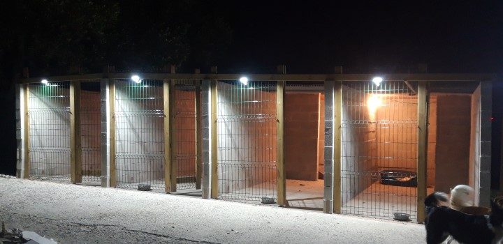 The kennels illuminated in the evening